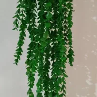 ریسه ابشاری