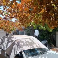 فروش خانه ویلایی در بلوار رحمت|فروش خانه و ویلا|شیراز, تندگویان|دیوار