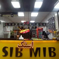 تجهیزات سیب بلژیکی و فست فود