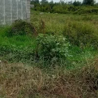 زمین ۶۰ متری دو بر|فروش زمین و ملک کلنگی|رشت, شهرک صبا|دیوار