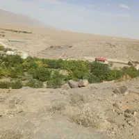 زمین-180-متری-مزرعه-سید