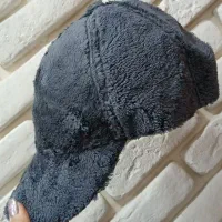 گوشگیر و کلاه تدی