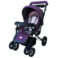 کالسکه|کالسکه و لوازم جانبی|سنندج, |دیوار