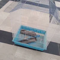 قفس پرنده