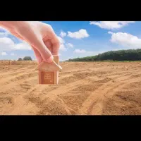 زمین درخت بید