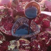 رب انار خالص درجه یک|خوردنی و آشامیدنی|شیراز, شاپورجان|دیوار