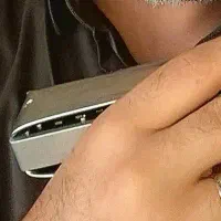 آموزش جلسه ای سازدهنی  (هارمونیکا) به صورت آنلاین