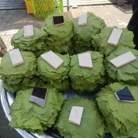 برگ مو کشمکش سردرود