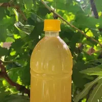ابغوره اورگانیک