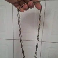 گردنبند
