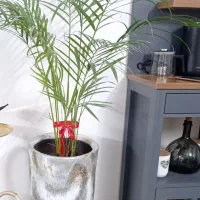 گل طبیعی با گلدان