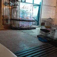 مغازه-باموقعیت-بسیارعالی