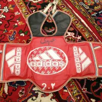 هوگو تکواندو