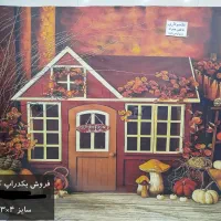 بکدراپ عکاسی