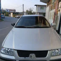 سمندخانگی سرتمییز