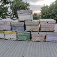 جعبه کندو خالی