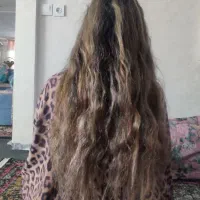 موتون با ارزشه مجانی ندی یوقت
