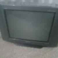 تلوزیون