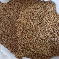 لوبیا جیرفتی یامحلی قیمت مناسب|خوردنی و آشامیدنی|رودخانه, |دیوار