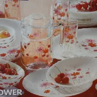سرویس ارکوپال لومینارک فرانسه .طرح کانتری