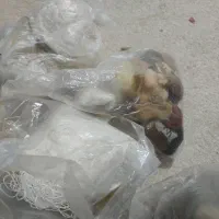 کاموا|لوازم خیاطی و بافتنی|سردشت, |دیوار