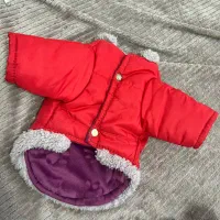 کاپشن سگ لباس پت