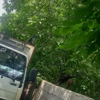 ایسوزو توشهری حمل بار .اثاث منزل