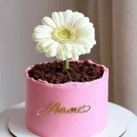 کیک ودسر خانگی پریس