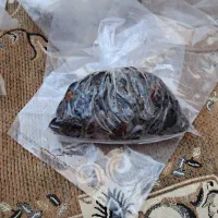 خرمای شهابی، و خرمای سمبرون