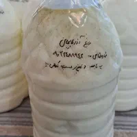 دوغ خانگی