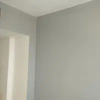 نقاش ساختمان مجرب|خدمات پیشه و مهارت|شیراز, میانرود|دیوار