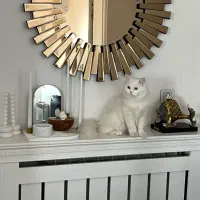 آینه و کاور شوفاژ