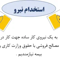 نیروی کار ساده