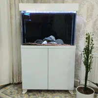 آکاریوم فروشی درحدنو
