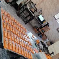 استخدام نیروی کار خانم در خسروشاه