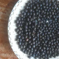 فروش‌دانه‌های‌یئسر‌برای‌تسبیح اصل‌اصل|فعالیت داوطلبانه|رشت, پیرکلاچای|دیوار