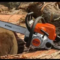 چوب بری بریدن درخت