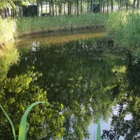 خونه ویلایی وسط مجموعه ای ناب|فروش خانه و ویلا|اصفهان, تخت فولاد|دیوار