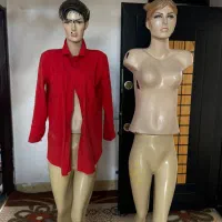 دو عدد مانکن