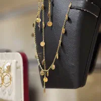 سرویس پولکی