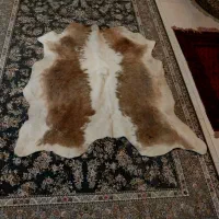پوست گاودباغی شده باکیفیت|فرش|فردیس, سرحد آباد|دیوار