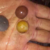 سنگهای قیمتی|جواهرات|پارس‌آباد, |دیوار