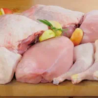 پخش قطعه بندی مرغ