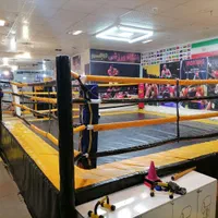 اموزش مبارزات (هنر های رزمی ترکیبی) MMA - UFC|خدمات آموزشی|مشهد, کوه سنگی|دیوار