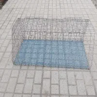 استخدام نیرو کار