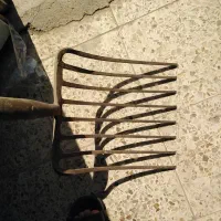 اشیائ عتیقه|کلکسیون اشیاء عتیقه|اهواز, زیتون کارگری|دیوار