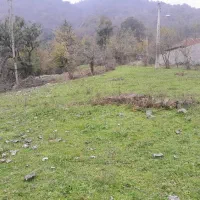 زمین|فروش زمین و ملک کلنگی|گوراب زرمیخ, |دیوار