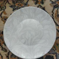 سرویس ارکوپال پارس اوپال