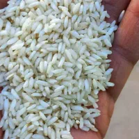 برنج عنبر بو درجه یک|خوردنی و آشامیدنی|اهواز, سپیدار|دیوار