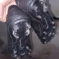 کفش استوک دار چمنی سالم|تجهیزات ورزشی|قائم‌شهر, |دیوار